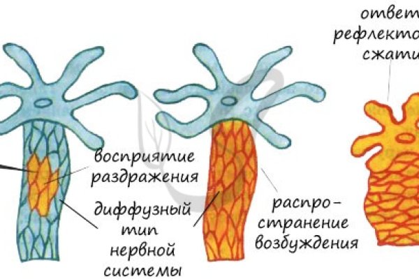 Omg настоящий